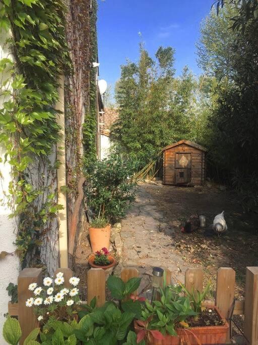La Campagne Dans La Ville Narbonne Eksteriør bilde