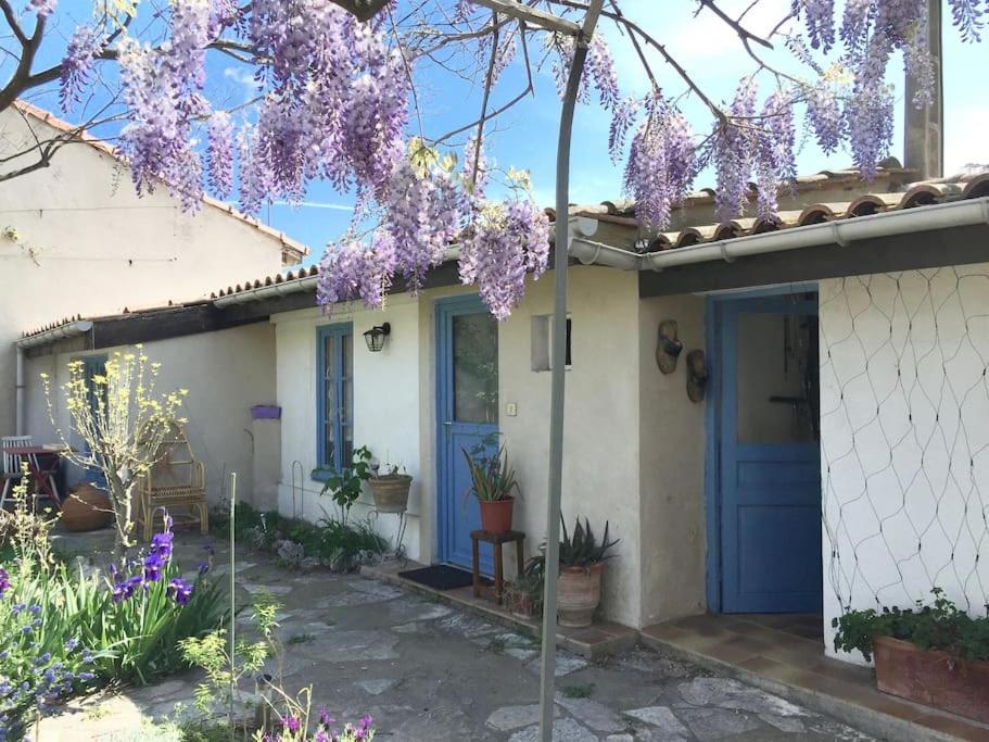 La Campagne Dans La Ville Narbonne Eksteriør bilde