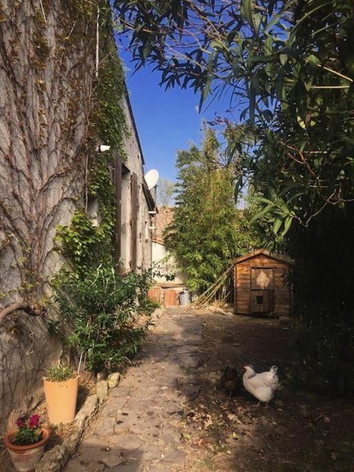 La Campagne Dans La Ville Narbonne Eksteriør bilde
