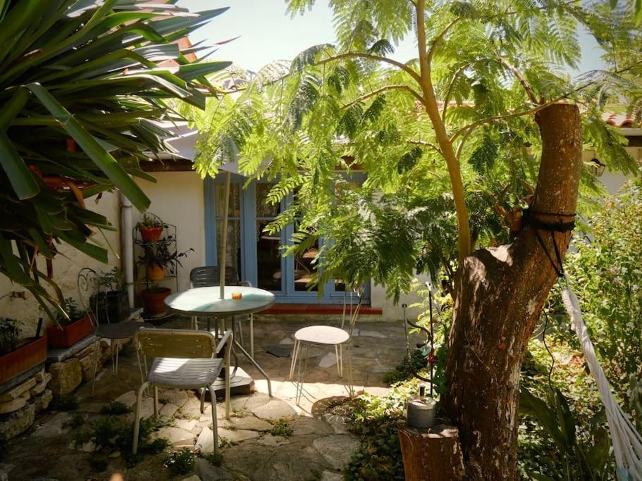 La Campagne Dans La Ville Narbonne Eksteriør bilde