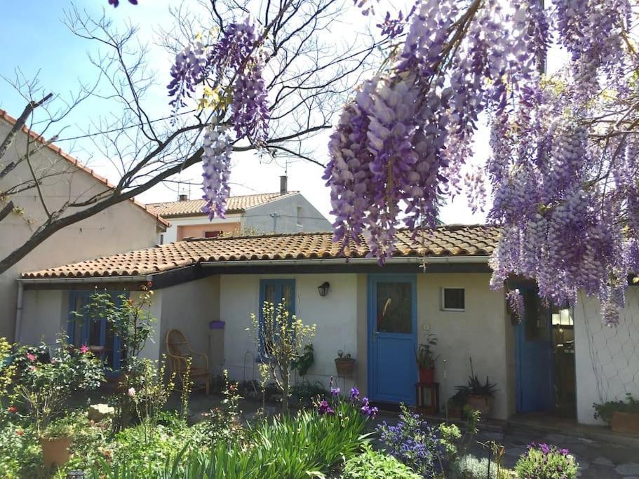 La Campagne Dans La Ville Narbonne Eksteriør bilde